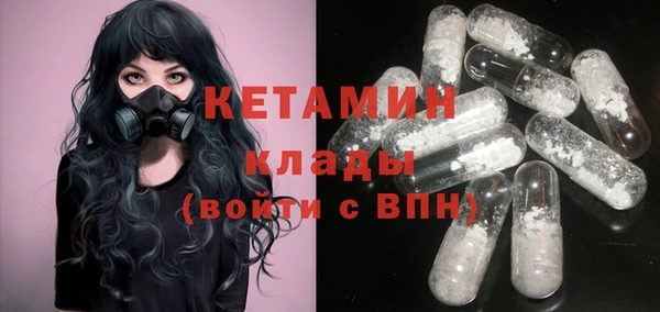 хмурый Аркадак