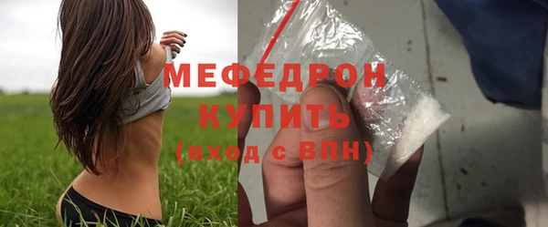 хмурый Аркадак