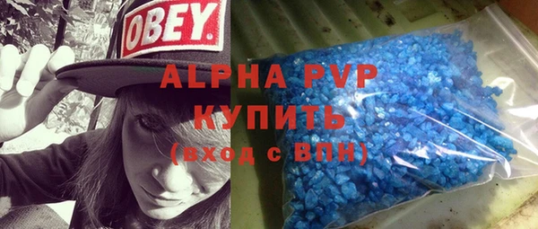 хмурый Аркадак