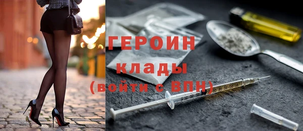 хмурый Аркадак