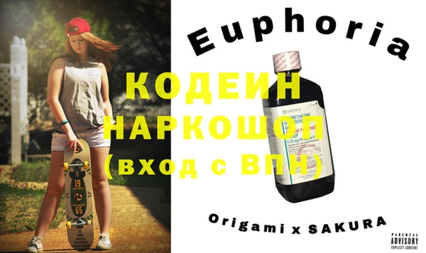 хмурый Аркадак